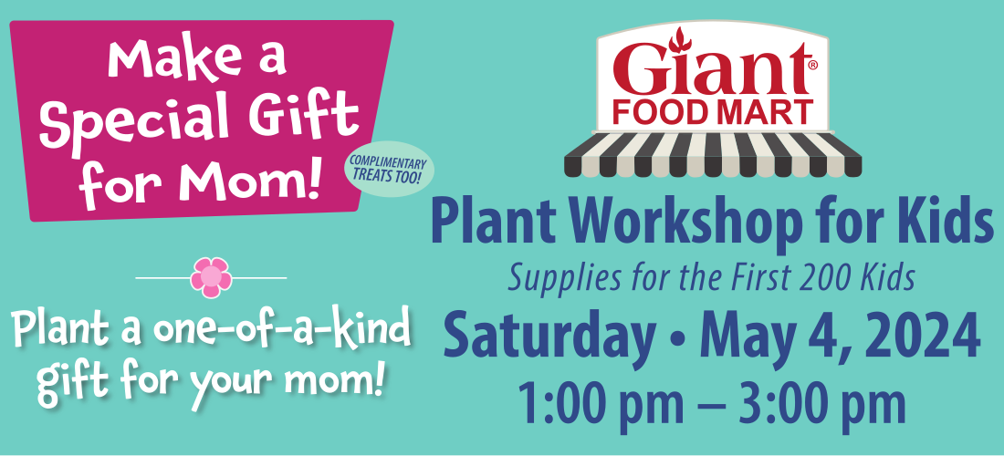 Mother's Day Plant Workshop for Kids